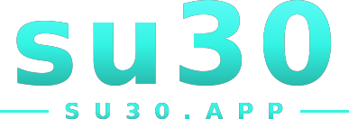 su30 logo